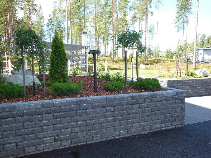 Havukasvit korotetussa istutusaltaassa